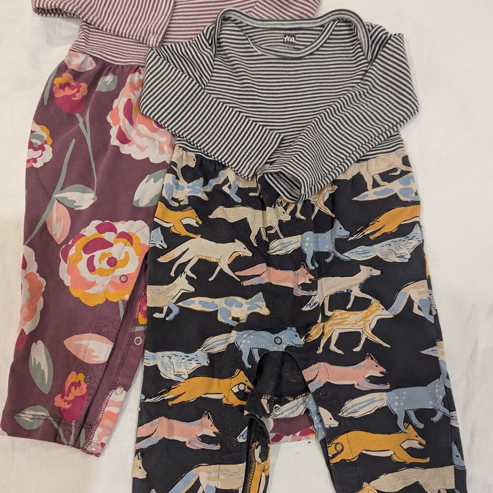 Tea Collection Baby Romper